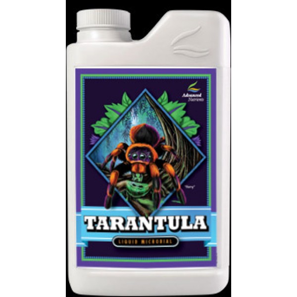 Tarantula (Beneficial bacteria)