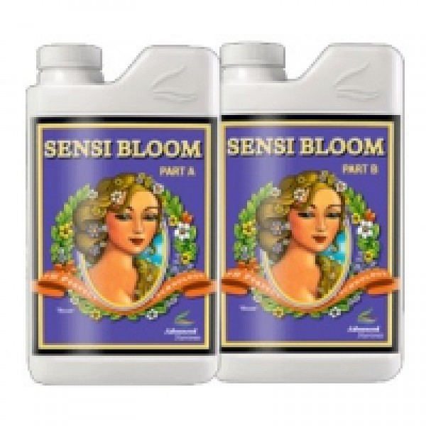 Sensi Bloom A/B